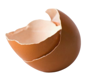 qualidade dos ovos
