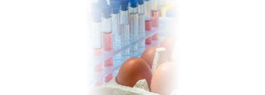 Iamgen Revista Monitoreo epidemiológico de Salmonella dentro de la cadena de producción avícola
