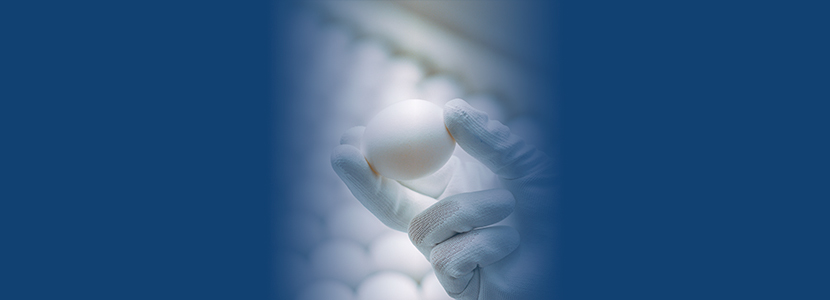 Qualidade ideal da casca do ovo: Nutrição Essencial