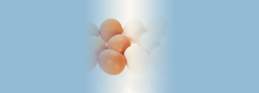 A influência da Bronquite Infecciosa na qualidade dos ovos