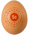 qualidade do ovo enriquecimento nutricional