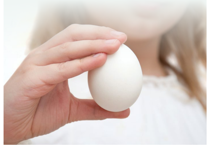 qualidade do ovo enriquecimento nutricional 