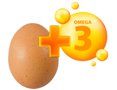 qualidade do ovo enriquecimento nutricional