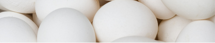 produção levedura qualidade de ovos