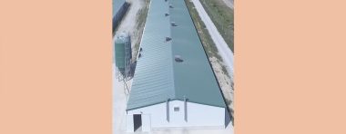 INGENIERÍA AVÍCOLA, Naves de Broilers