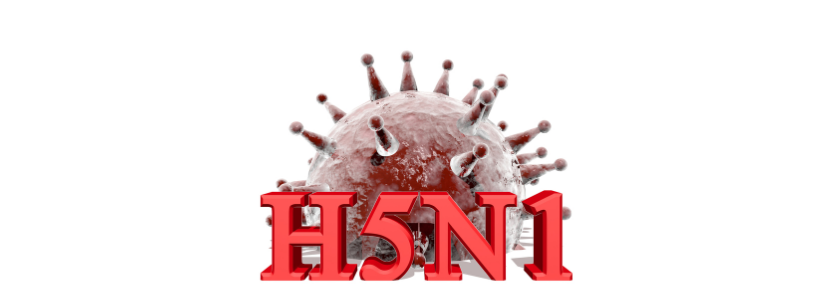 Influenza Aviária h5N1