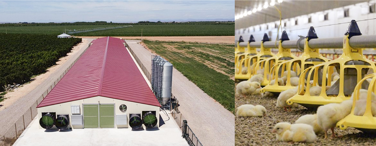 NEW FARMS, Naves de Broilers
