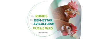 Iamgen Revista Os Rumos do Bem-estar na Avicultura: Poedeiras