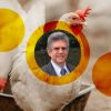 Afinal, o que é biosseguridade e qual é a sua importância na avicultura?
