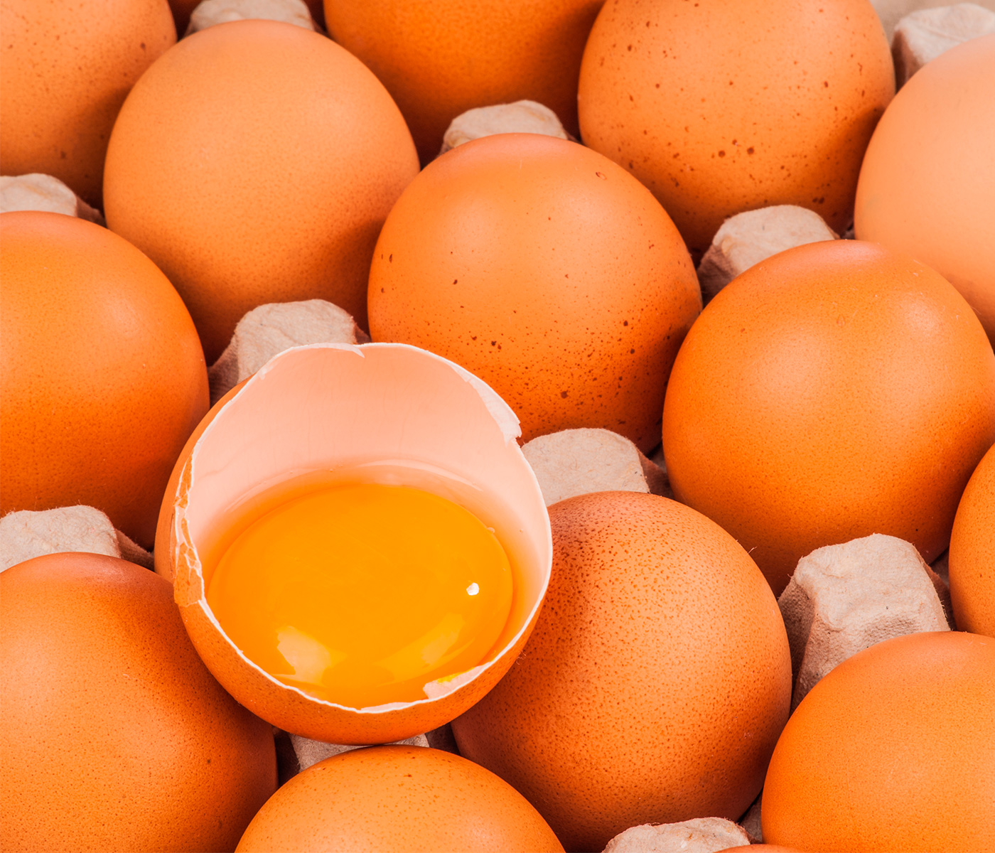 Mitos entre el consumo de huevos y las enfermedades cardiovasculares