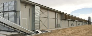INGENIERÍA AVÍCOLA, Naves para recría
