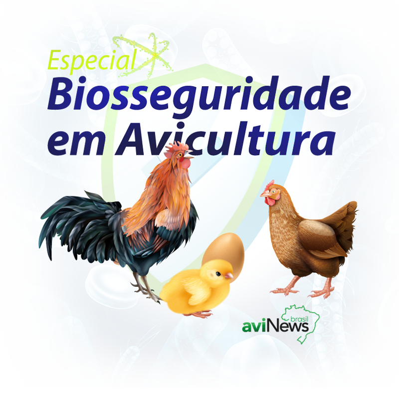 Biosseguridade em avicultura