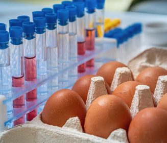 Imagen Revista La vacunación como estrategia clave en el control de Salmonella en la producción de broilers