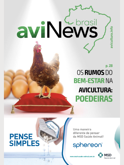 aviNews Brasil Outubro de 2021 