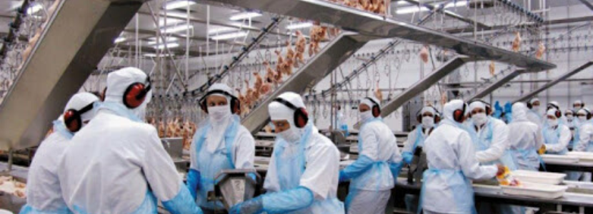 exportaciones-brasileñas-carne-pollo-crecimiento-de-9,8%-en-2021