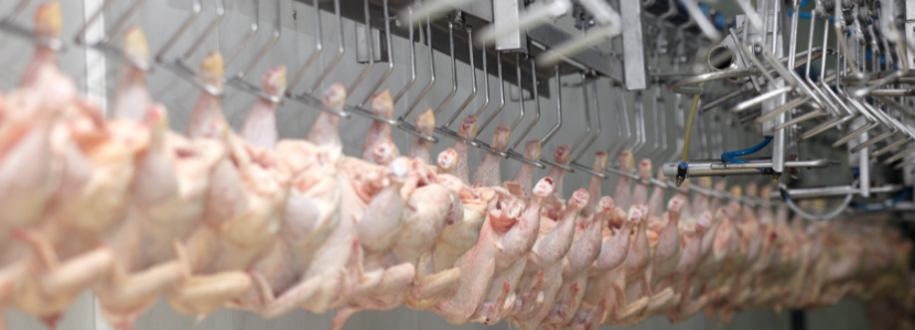 Exportaciones paraguayas de carne de ave crecen 6,87% en 2021