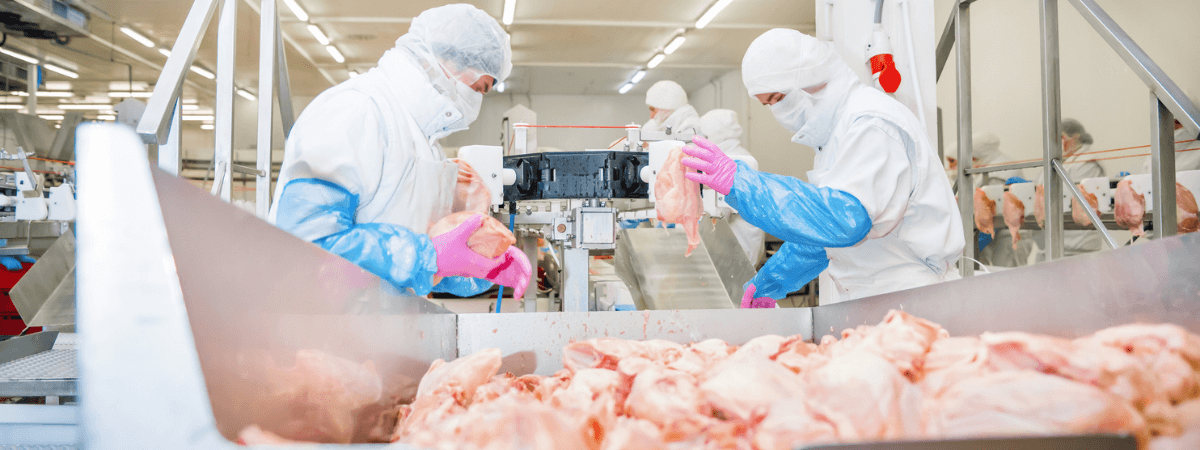 exportações carne de frango