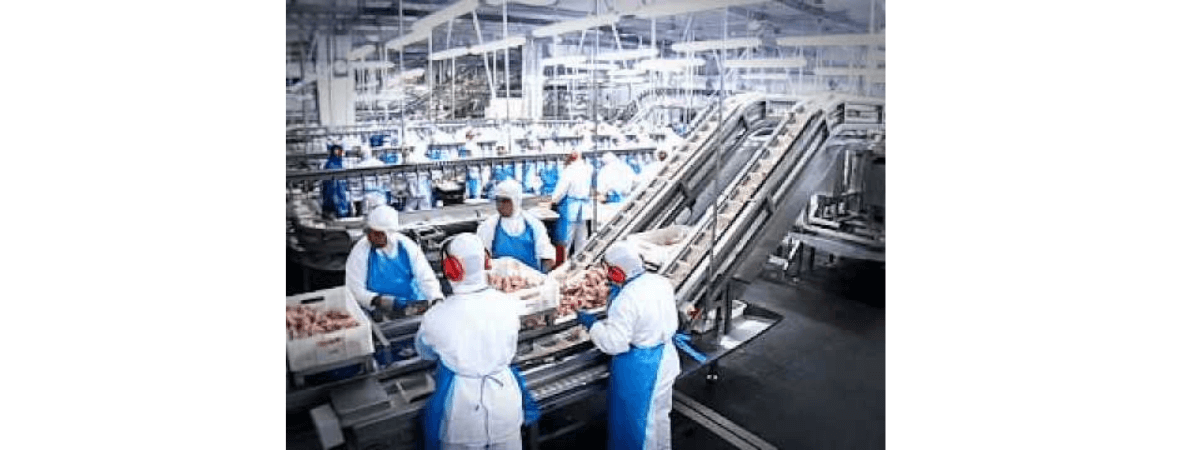 Produtos & Soluções na Indústria Avícola: aplicações Industriais