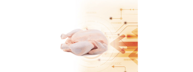Iamgen Revista Diagrama de Ishikawa aplicado ao processamento dos frangos