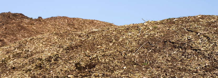 Argentina trabajan en producción compost con residuos avícolas y forestales