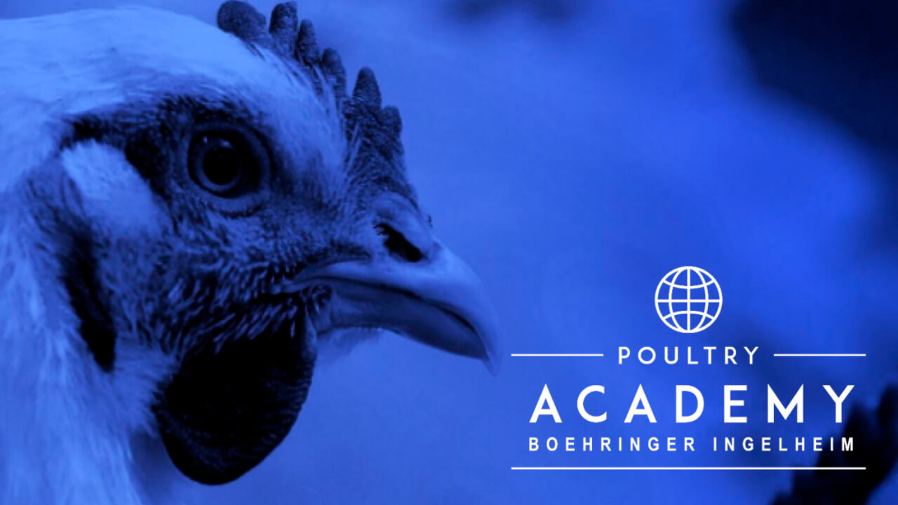 Boehringer Ingelheim celebra una nueva sesión del Poultry Management Training...