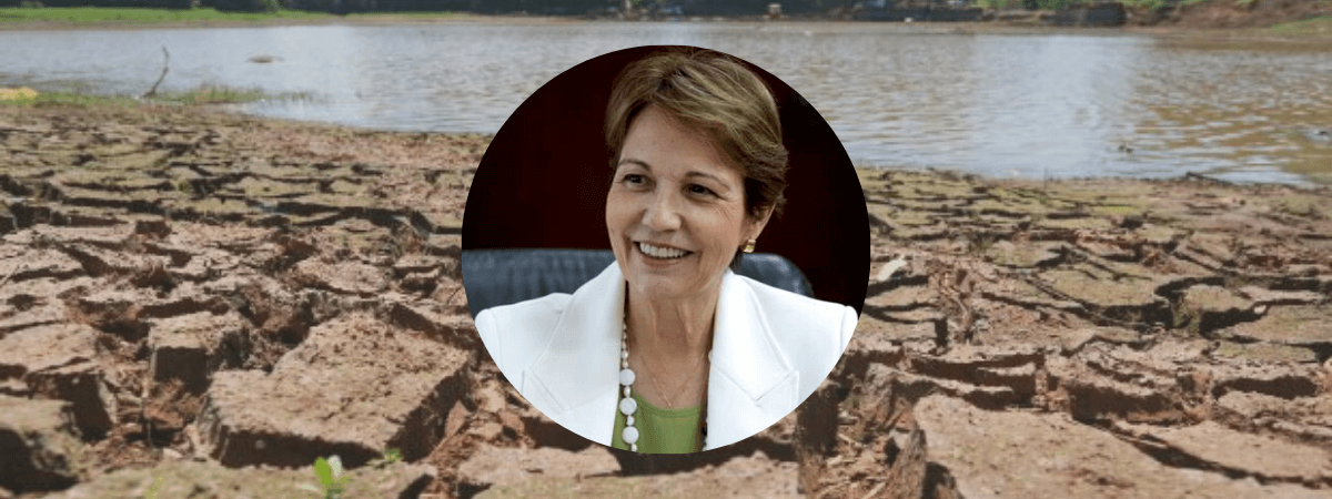 Ministra da Agricultura visitará Santa Catarina para avaliar os impactos da estiagem no meio rural