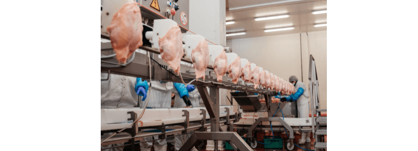 Exportação carne de frango cresce ABPA