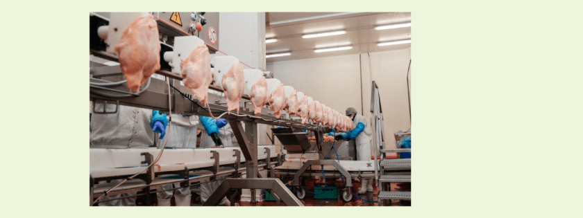 Exportação carne de frango cresce ABPA