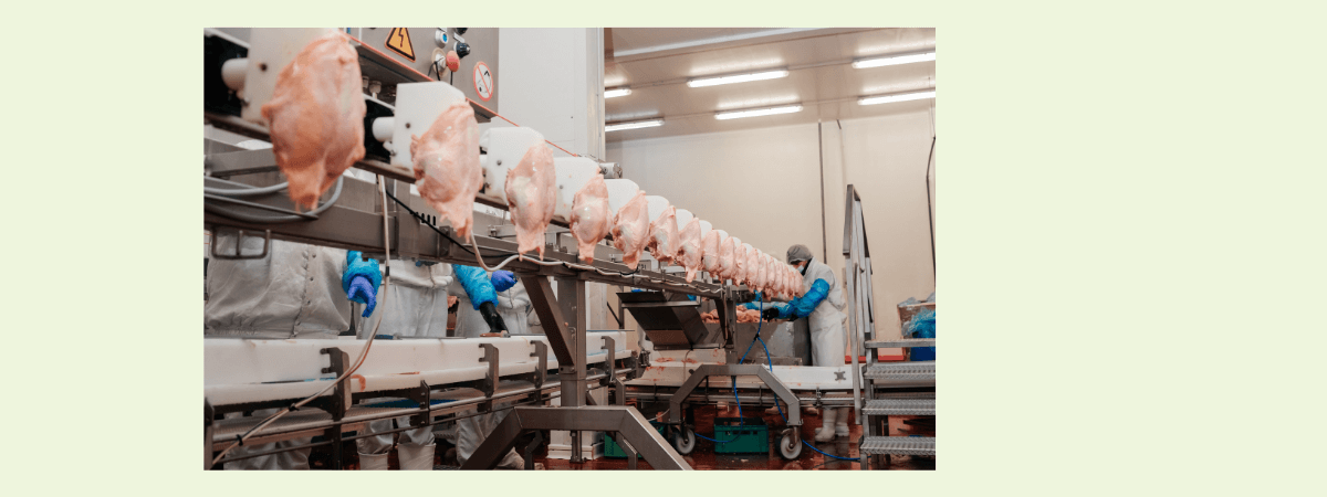 Exportações de carne de frango crescem 9% em 2021