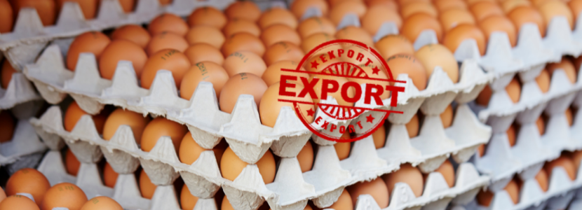 Exportaciones de huevo brasileñas registran crecimiento de 81,5% en 2021