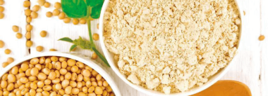 Evaluación del contenido energético de las harinas de soja en base a su composición química y calidad nutricional.  Problemática del uso de ecuaciones de predicción. Parte 2