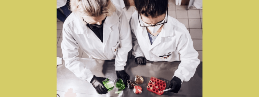 Fapesc apoia startup em projeto de nanopartículas salmonella