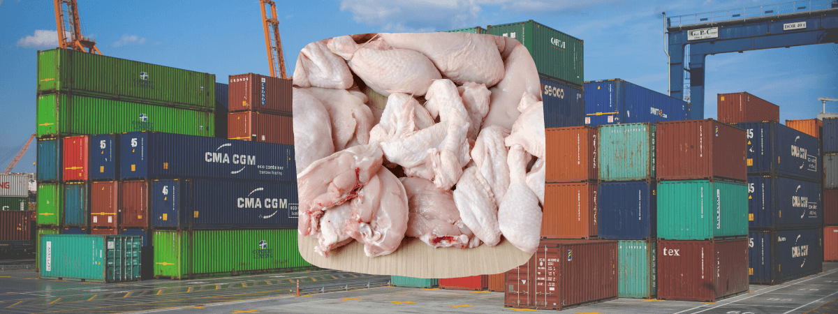 Tarifa de frango exportado para África do Sul sobe para 265%