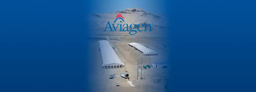 El Alcance Latinoamericano de Aviagen Continúa, con Inversión de $12 Millones Planeada para Perú