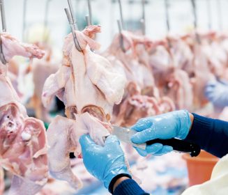 Iamgen Revista Los desechos del sector avícola, nueva fuente de materias primas para las industrias agrícola, cosmética o del envase