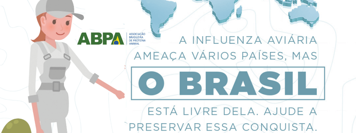 Influenza Aviária no Hemisfério Norte acende alerta no Brasil