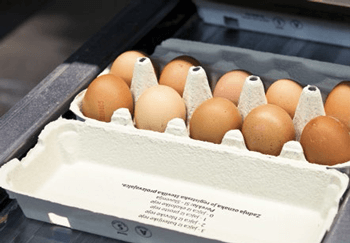 Comunicação e marketing valorizam consumo do ovo