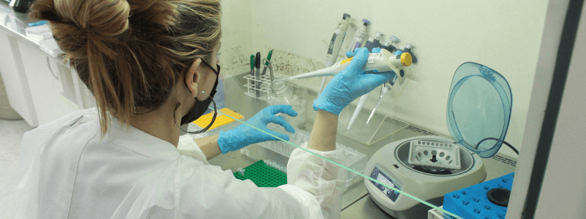 Laboratório da Adapar conquista credenciamento para diagnosticar doenças de sanidade avícola