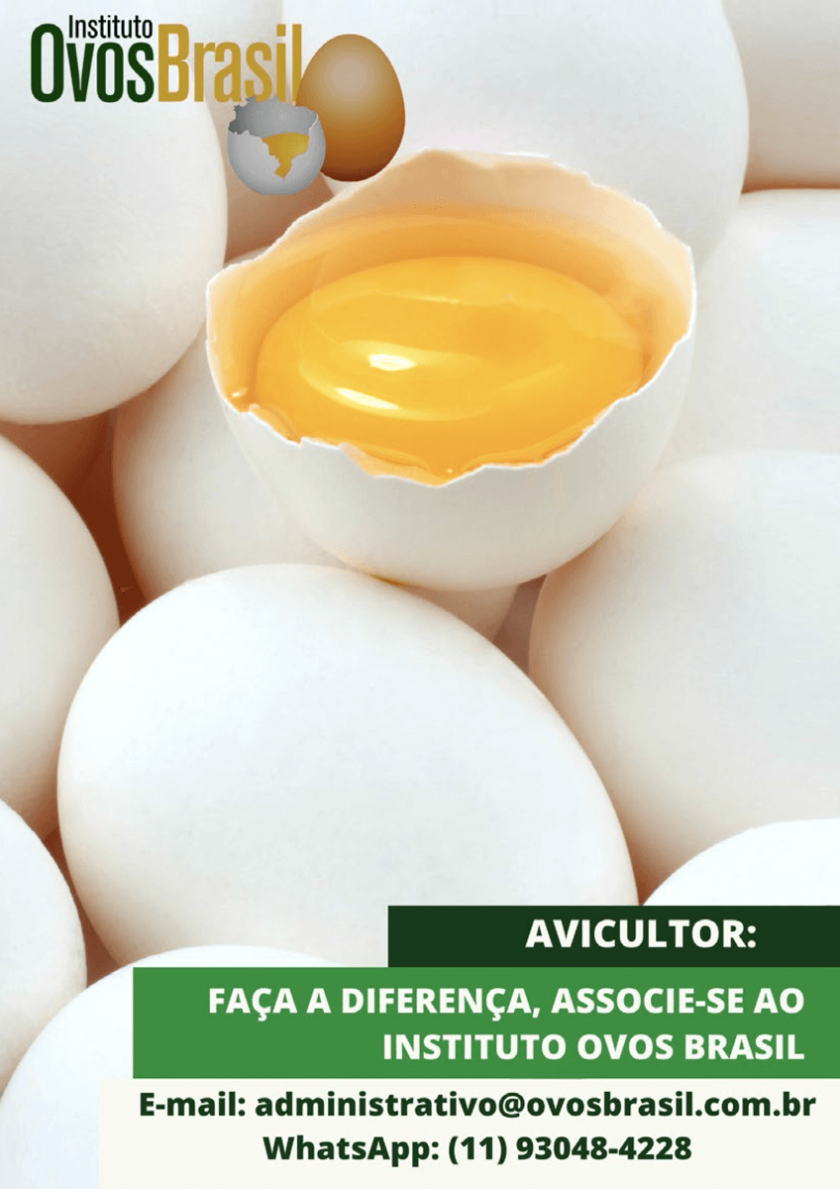 Anúncio Instituto Ovos Brasil
