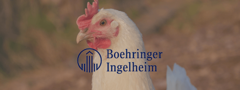 Boehringer lança vacina PrevexxionTM RN