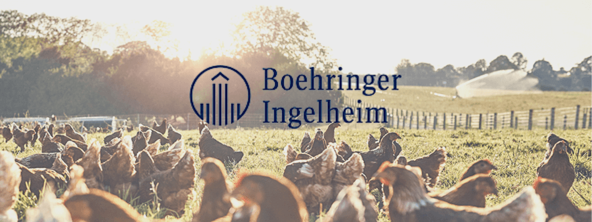 Boehringer Ingelheim Saúde Animal vai lançar nova vacina no Congresso...