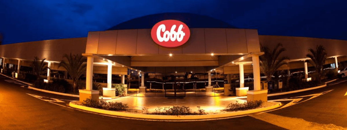 Cobb anuncia investimentos de R$ 160 milhões no Brasil