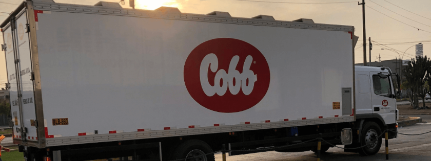Cobb inicia exportação Peru