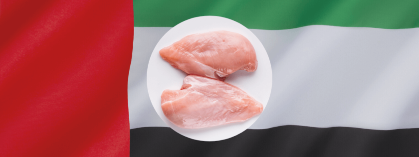 Emirados Árabes se tornam maior importador de frango do Brasil