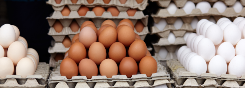 paraguay-existe-escasez-de-huevos