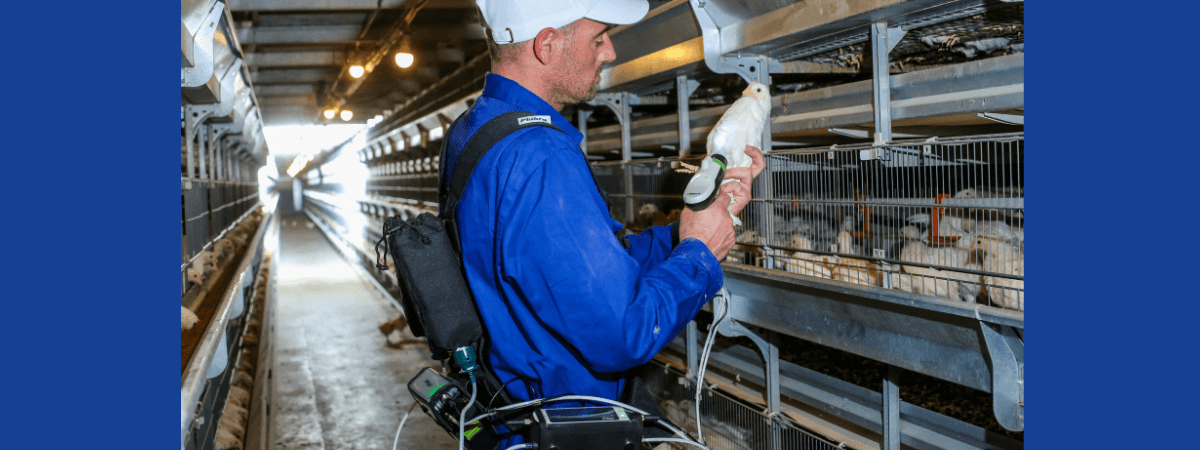 Phibro leva tecnologia para gerenciamento de vacinação de aves ao Congresso de Ovos APA 2022