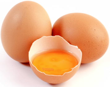 qualidade de ovos e bem-estar em poedeiras