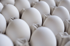 qualidade de ovos e bem-estar em poedeiras