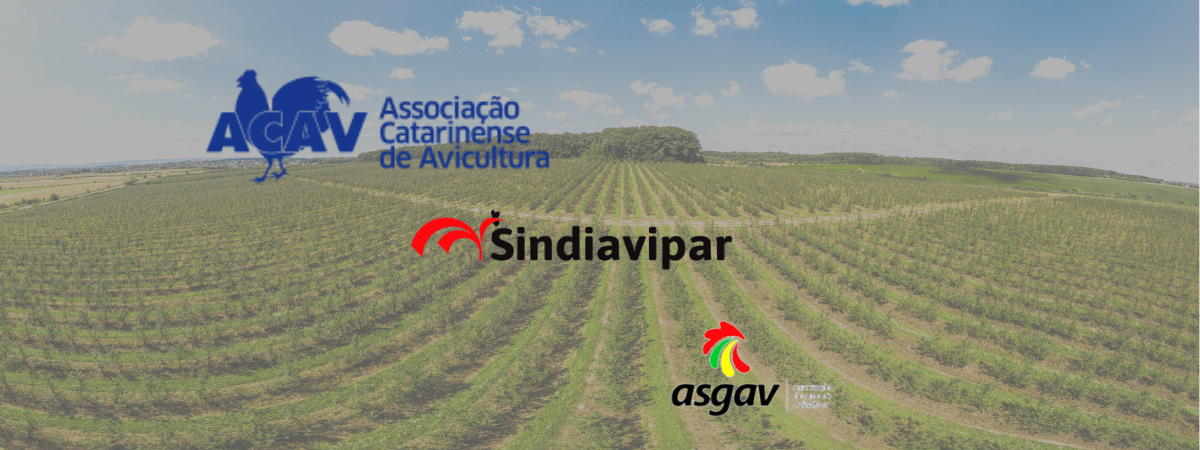 Agroindústria do sul define pautas do setor