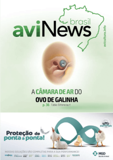 aviNews Brasil Dezembro 2021 